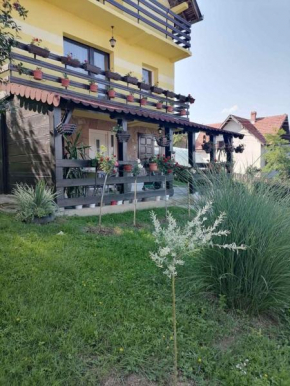 Guesthouse Dragacevo